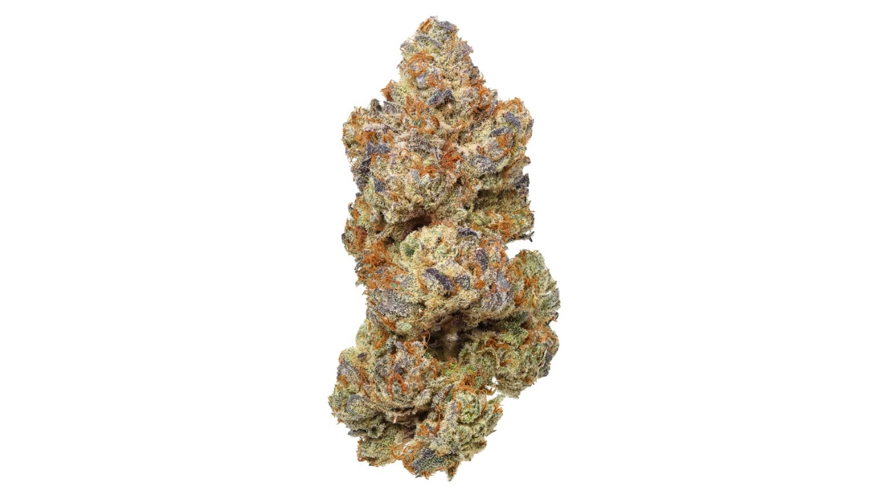 Girl Scout Cookies